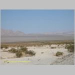 20060812_Mojave_005 copia.jpg